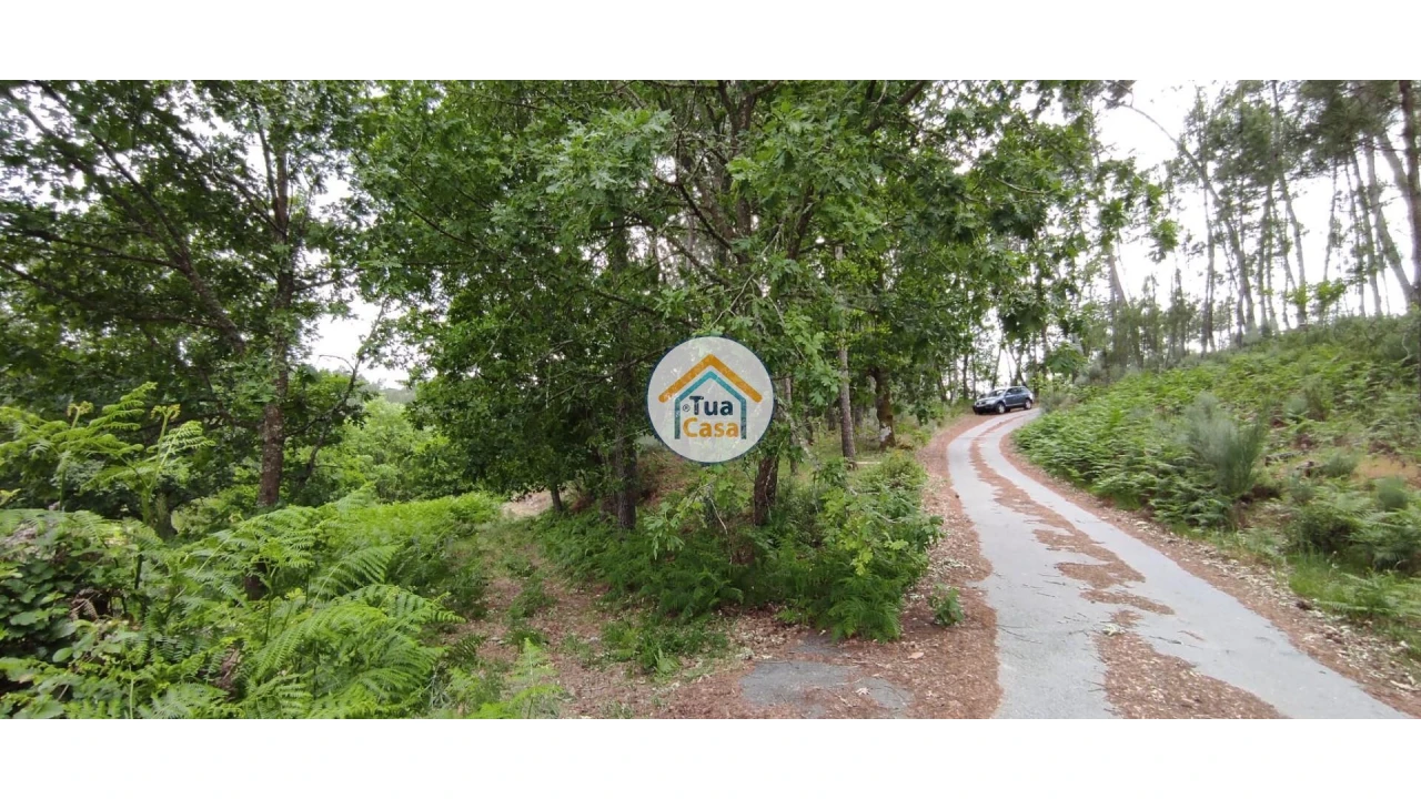 Terreno para Venda em Aguiar da Beira e Coruche Foto 6