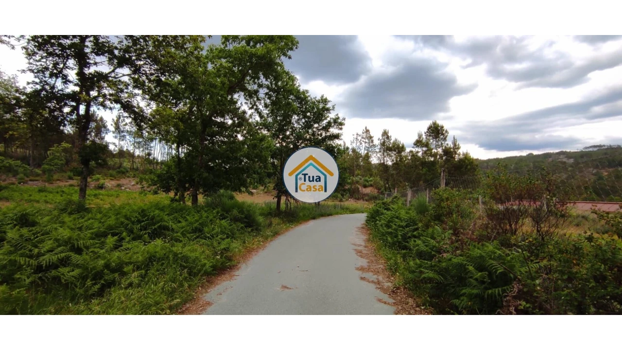 Terreno para Venda em Aguiar da Beira e Coruche Foto 21