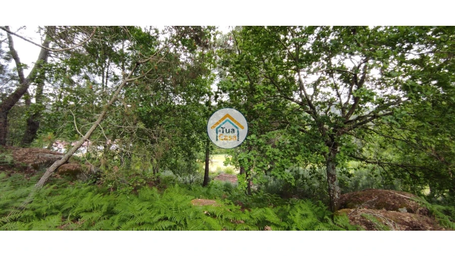 Terreno para Venda em Aguiar da Beira e Coruche Foto 8