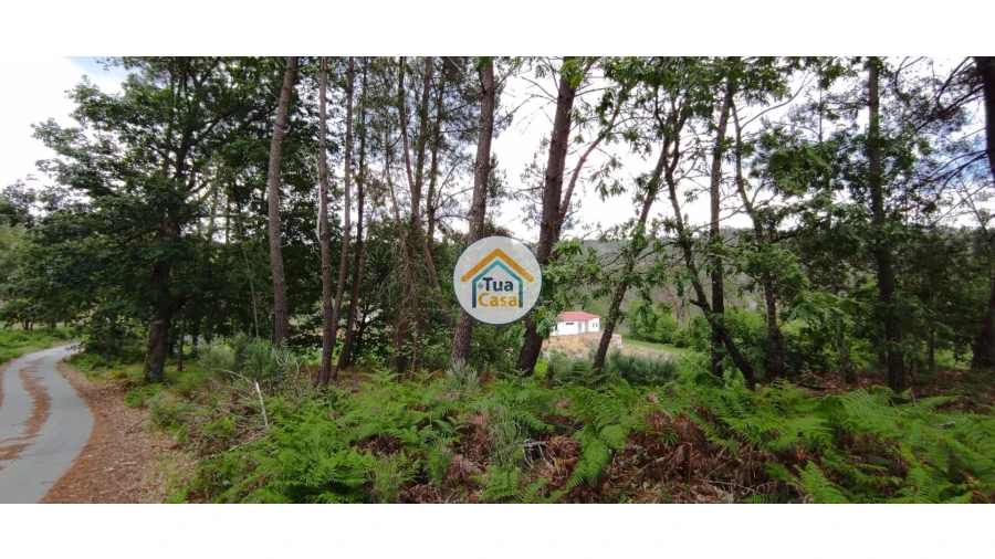 Terreno para Venda em Aguiar da Beira e Coruche Foto 19