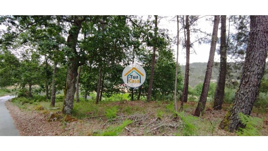 Terreno para Venda em Aguiar da Beira e Coruche