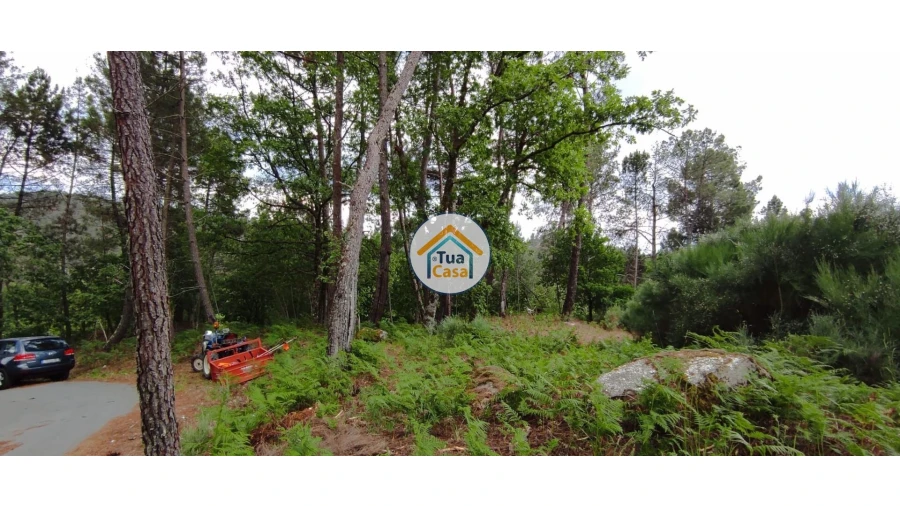 Terreno para Venda em Aguiar da Beira e Coruche Foto 16