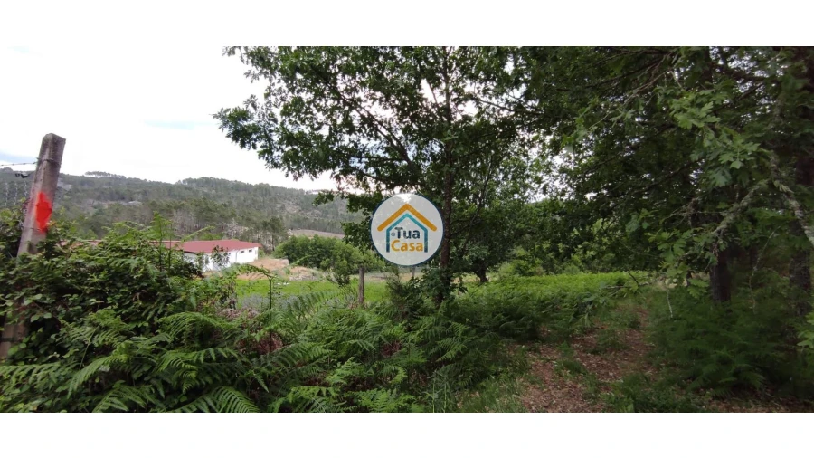 Terreno para Venda em Aguiar da Beira e Coruche Foto 5