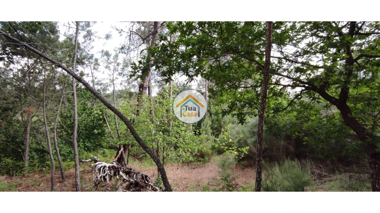Terreno para Venda em Aguiar da Beira e Coruche Foto 9