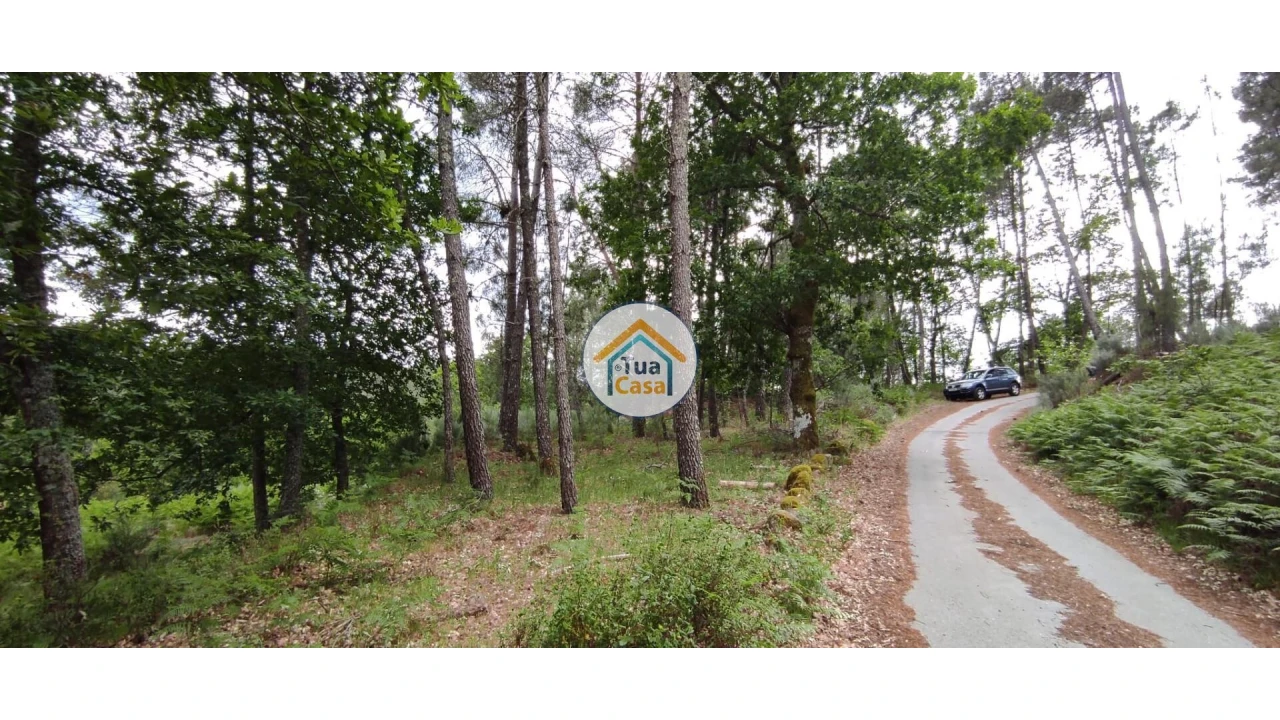 Terreno para Venda em Aguiar da Beira e Coruche Foto 20