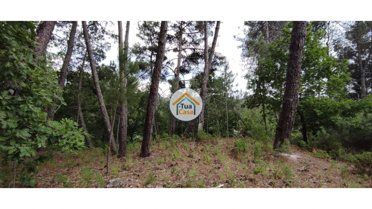 Terreno para Venda em Aguiar da Beira e Coruche Foto 2