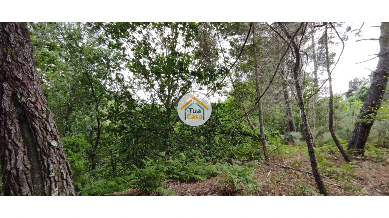 Terreno para Venda em Aguiar da Beira e Coruche Foto 12