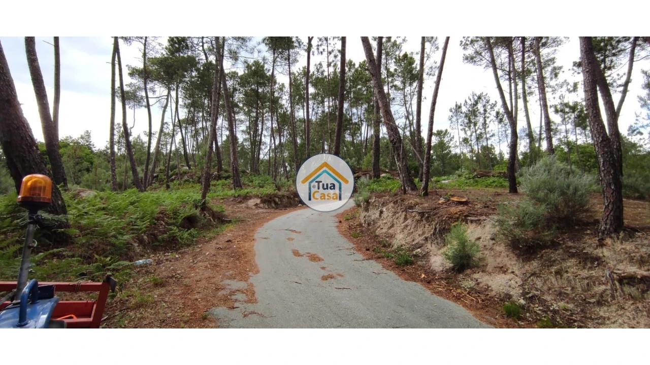 Terreno para Venda em Aguiar da Beira e Coruche Foto 3