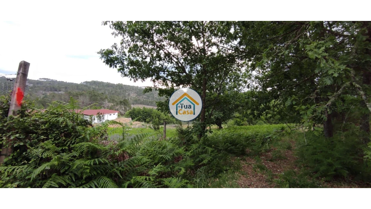 Terreno para Venda em Aguiar da Beira e Coruche Foto 5