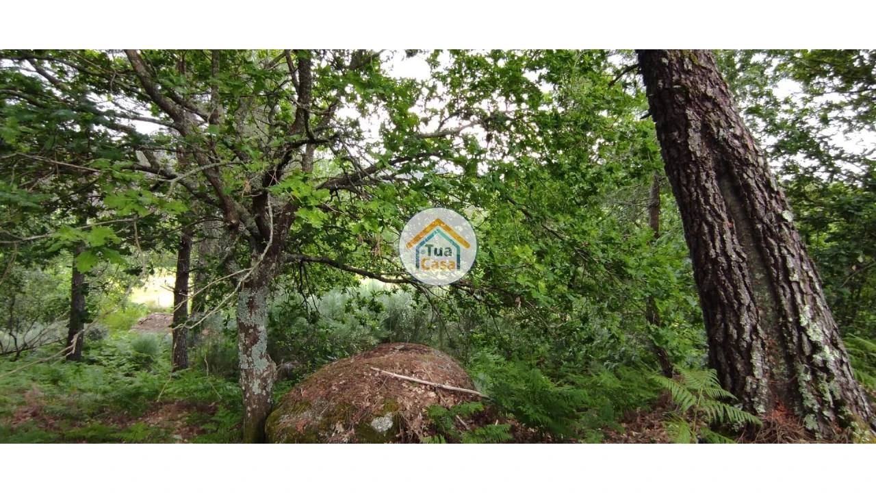 Terreno para Venda em Aguiar da Beira e Coruche Foto 11