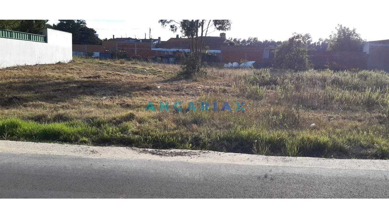 Terreno para Venda em Monte Real e Carvide Foto 3