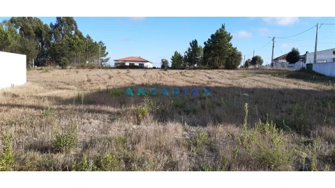Terreno para Venda em Monte Real e Carvide