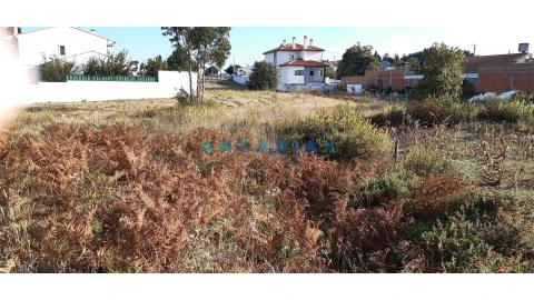 Terreno para Venda em Monte Real e Carvide
