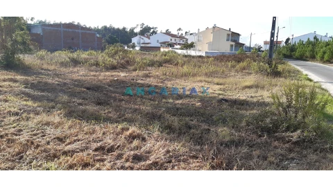 Terreno para Venda em Monte Real e Carvide
