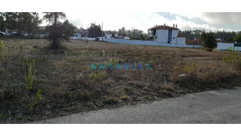 Terreno para Venda em Monte Real e Carvide