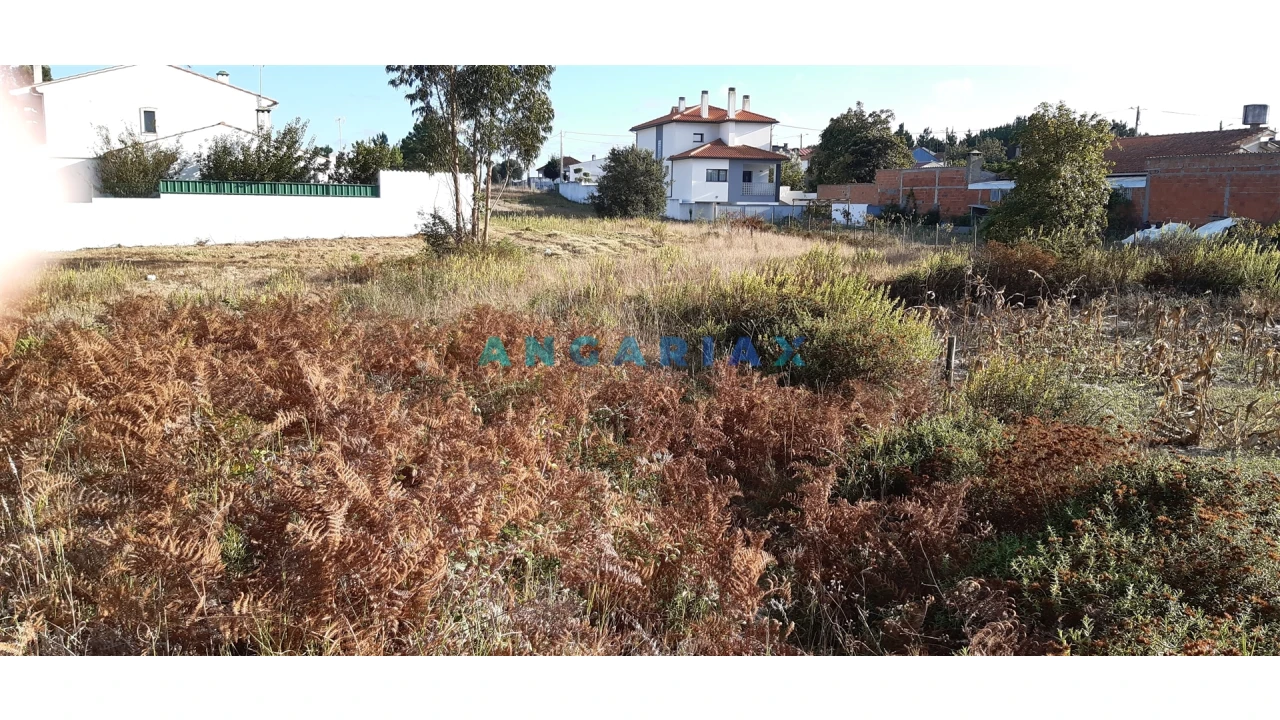 Terreno para Venda em Monte Real e Carvide Foto 7