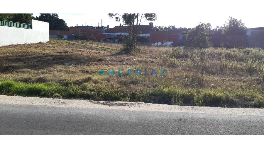 Terreno para Venda em Monte Real e Carvide Foto 3