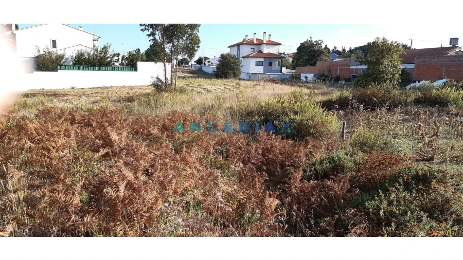 Terreno para Venda em Monte Real e Carvide Foto 7