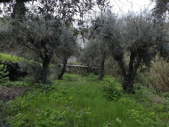 Armazém para Venda em Covilhã e Canhoso Foto 16