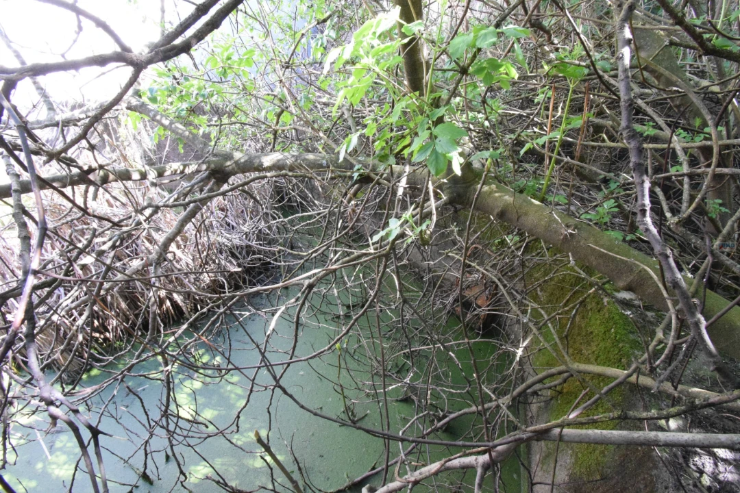 Armazém para Venda em Covilhã e Canhoso Foto 17