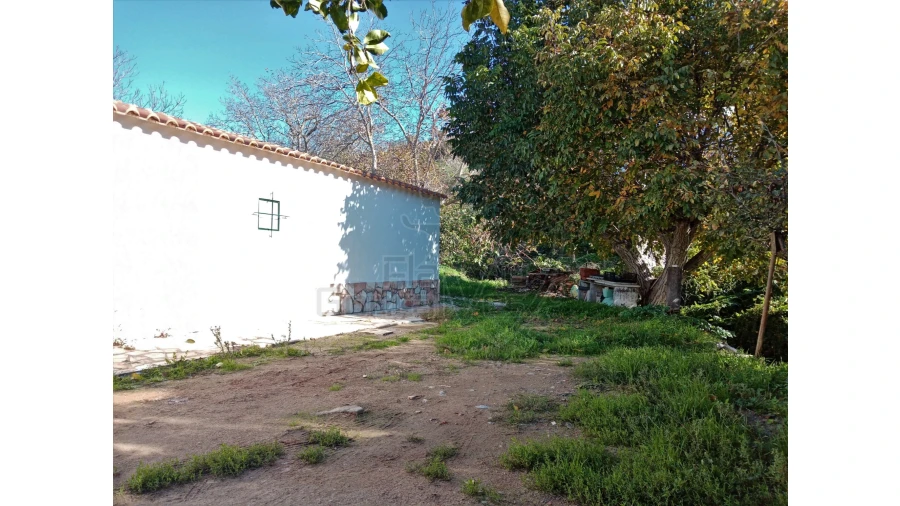 Quinta T3 para Venda em Gloria Foto 18