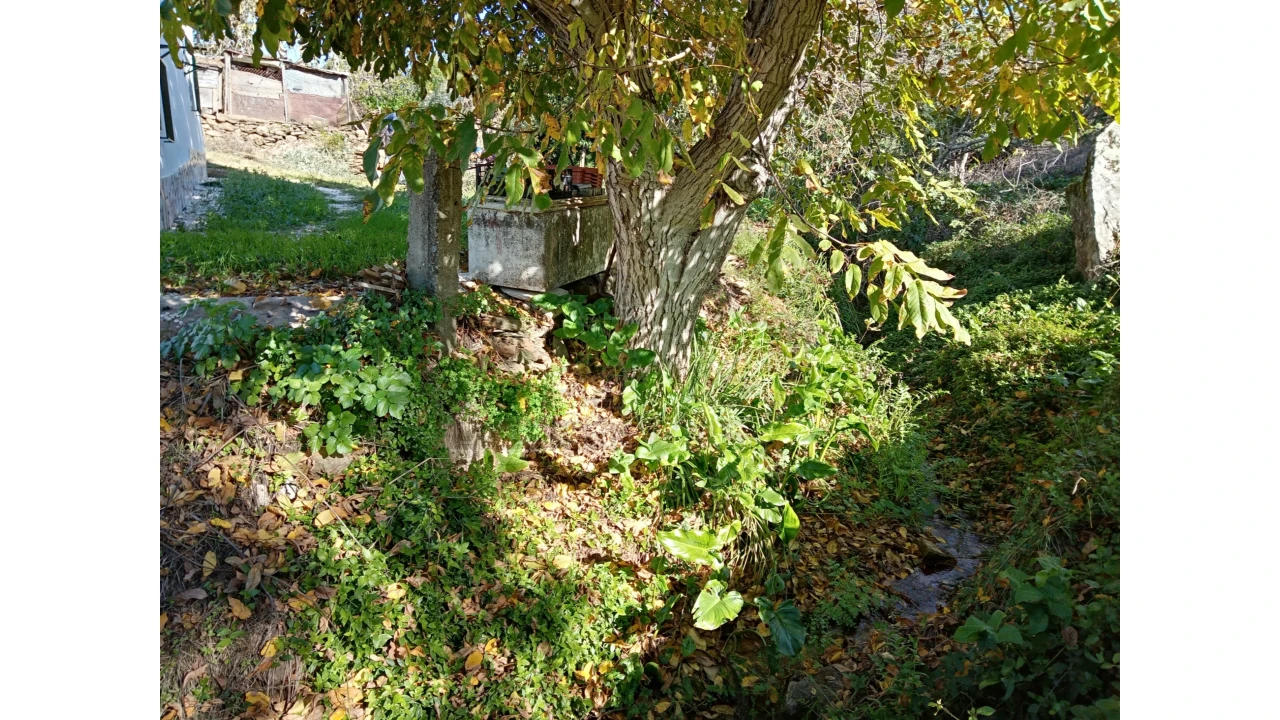 Quinta T3 para Venda em Gloria Foto 19