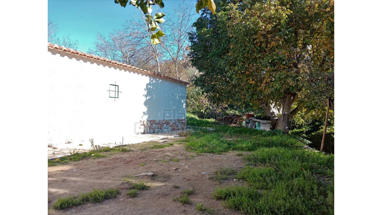 Quinta T3 para Venda em Gloria Foto 18