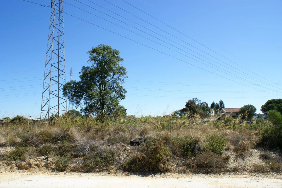 Terreno P/ Prédio para Venda em Fernao Ferro Foto 7