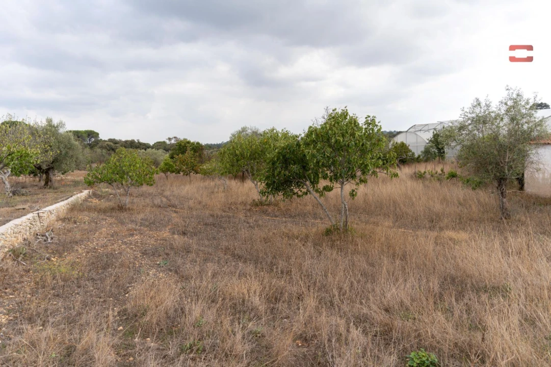 Terreno Misto para Venda em Assentiz Foto 15