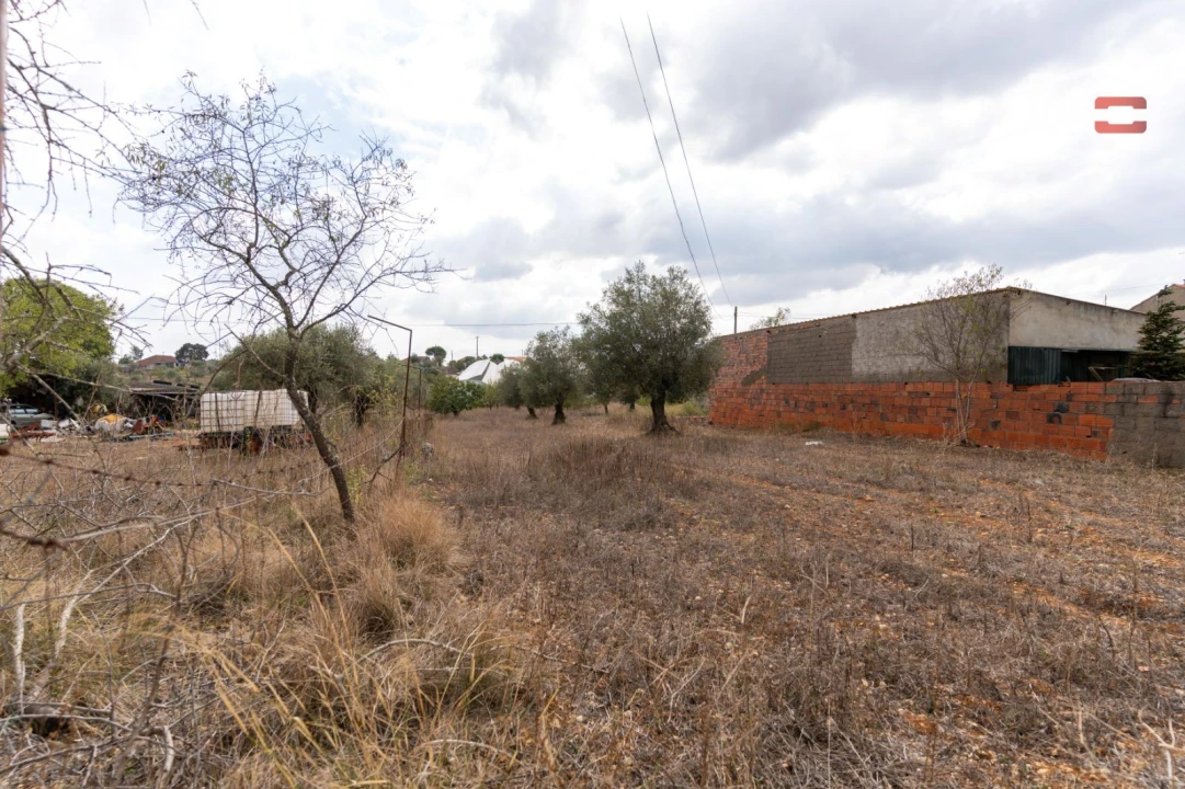 Terreno Misto para Venda em Assentiz Foto 16