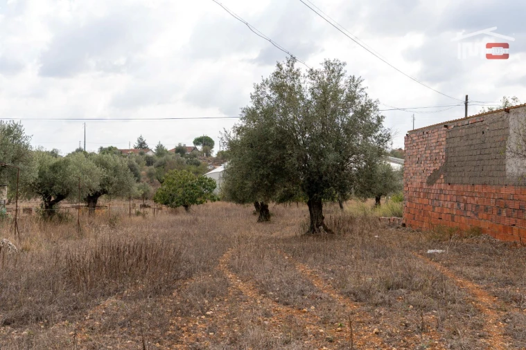 Terreno Misto para Venda em Assentiz Foto 5