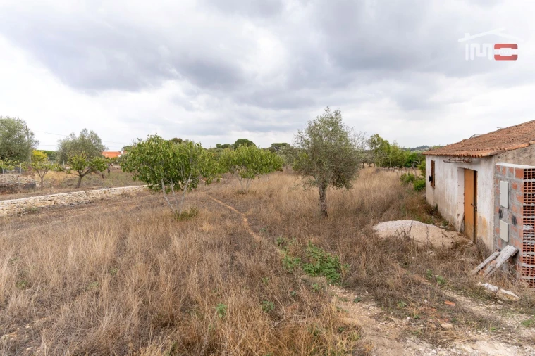 Terreno Misto para Venda em Assentiz Foto 9