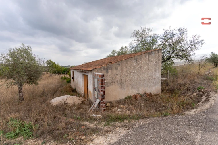 Terreno Misto para Venda em Assentiz Foto 10
