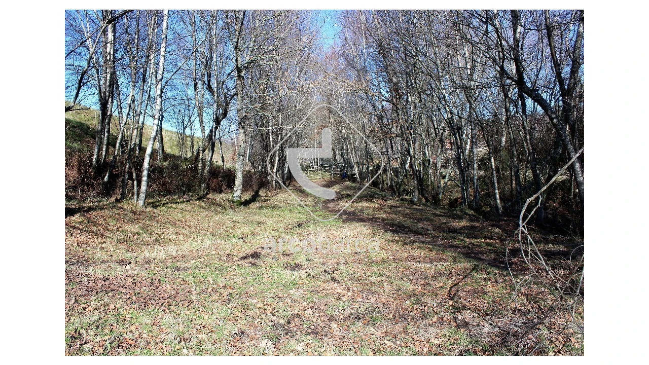 Terreno para Venda em Vascões Foto 6