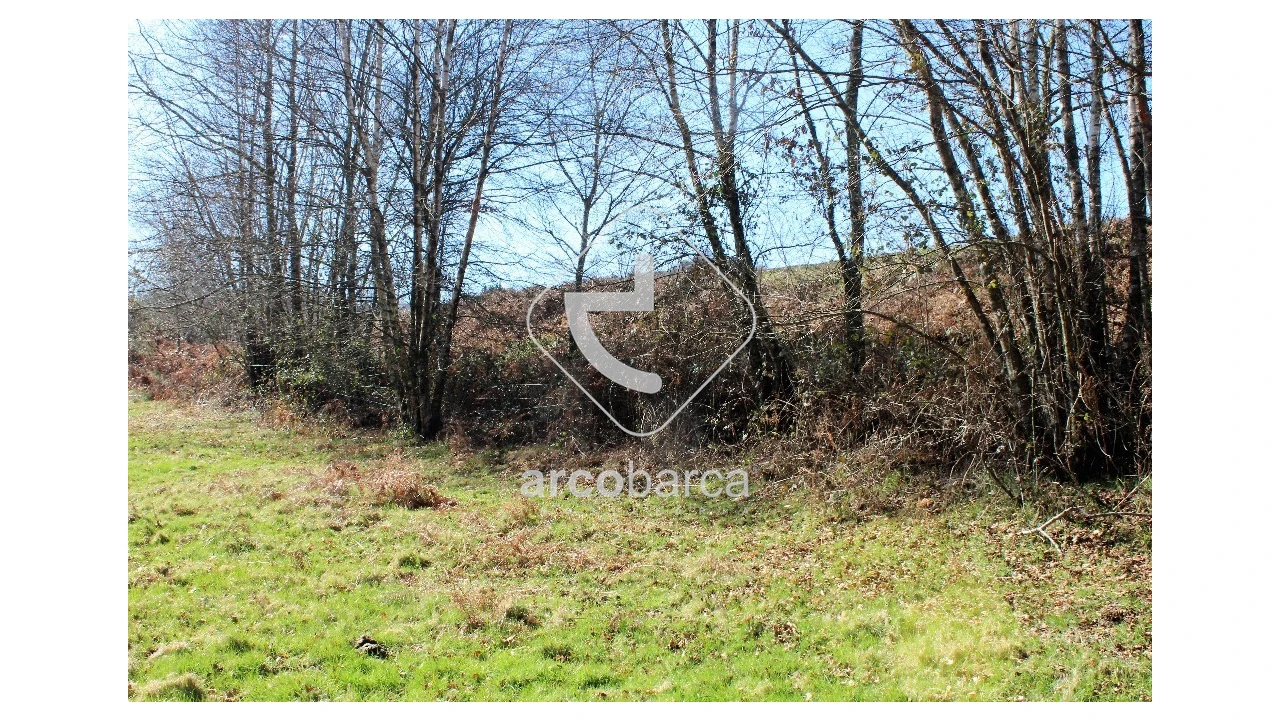 Terreno para Venda em Vascões Foto 5