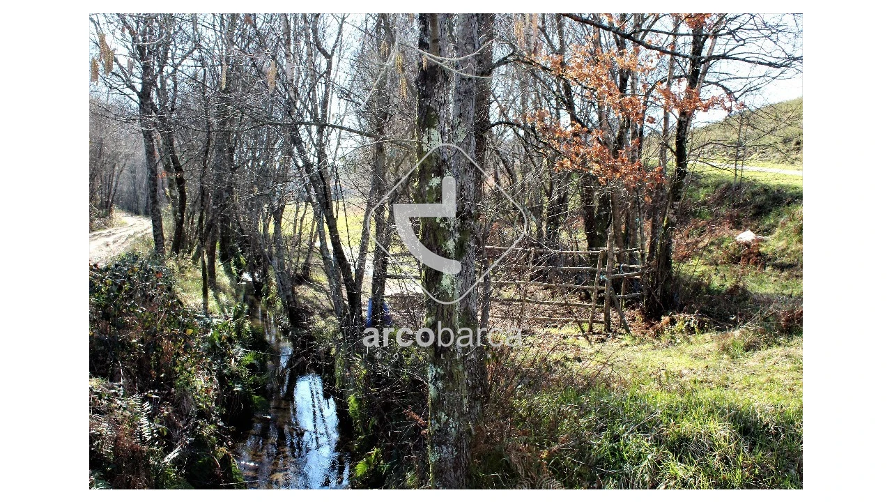 Terreno para Venda em Vascões Foto 3