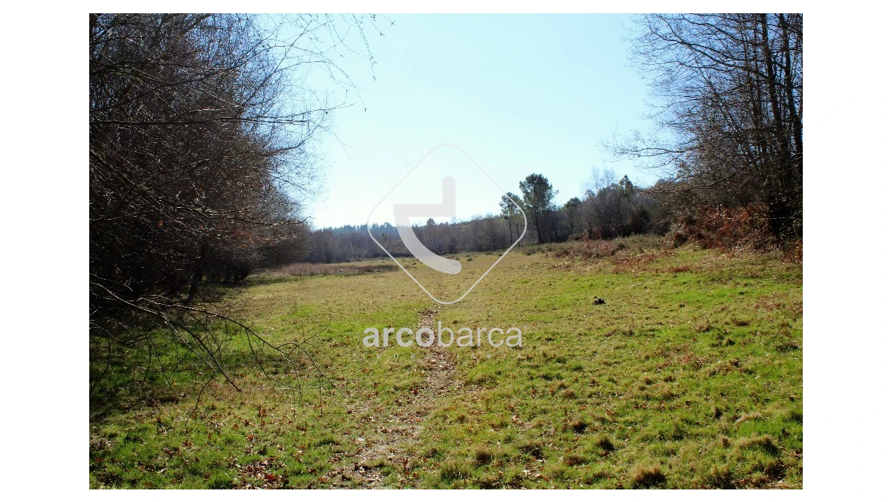 Terreno para Venda em Vascões Foto 11