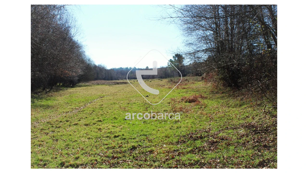 Terreno para Venda em Vascões Foto 8