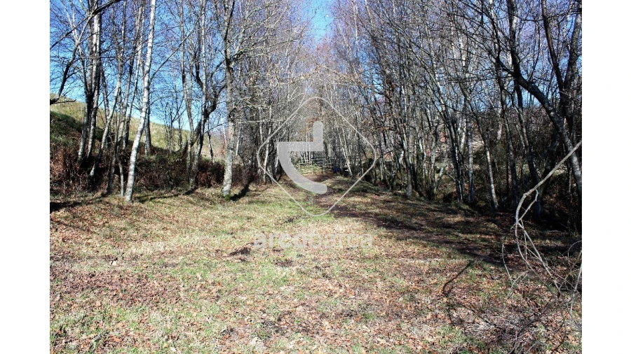Terreno para Venda em Vascões Foto 6