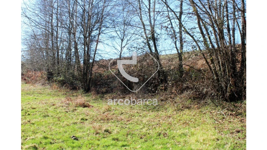 Terreno para Venda em Vascões Foto 5