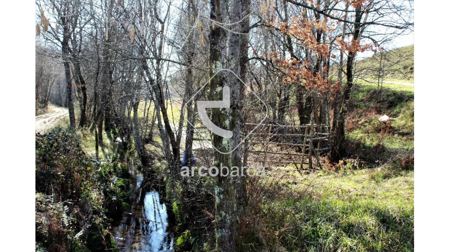 Terreno para Venda em Vascões Foto 3