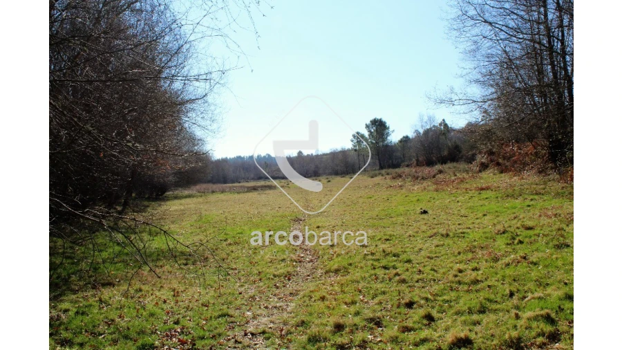 Terreno para Venda em Vascões Foto 11