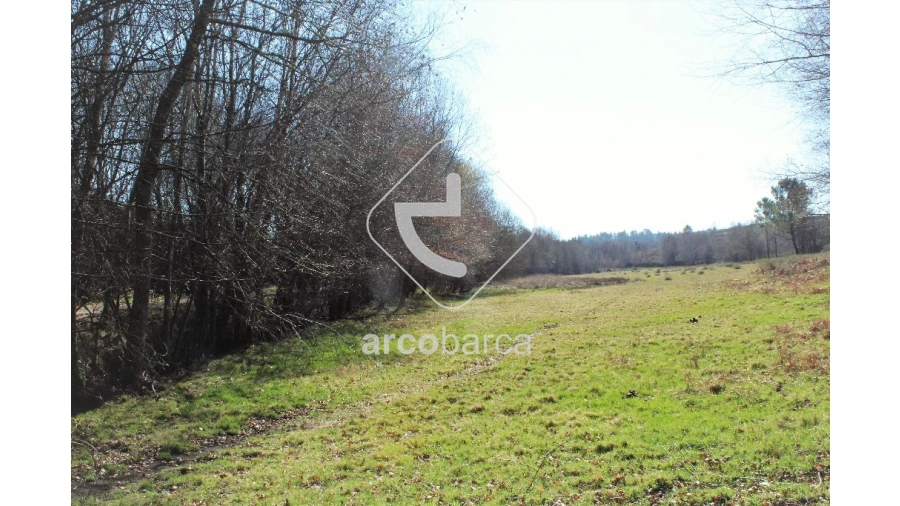 Terreno para Venda em Vascões Foto 9