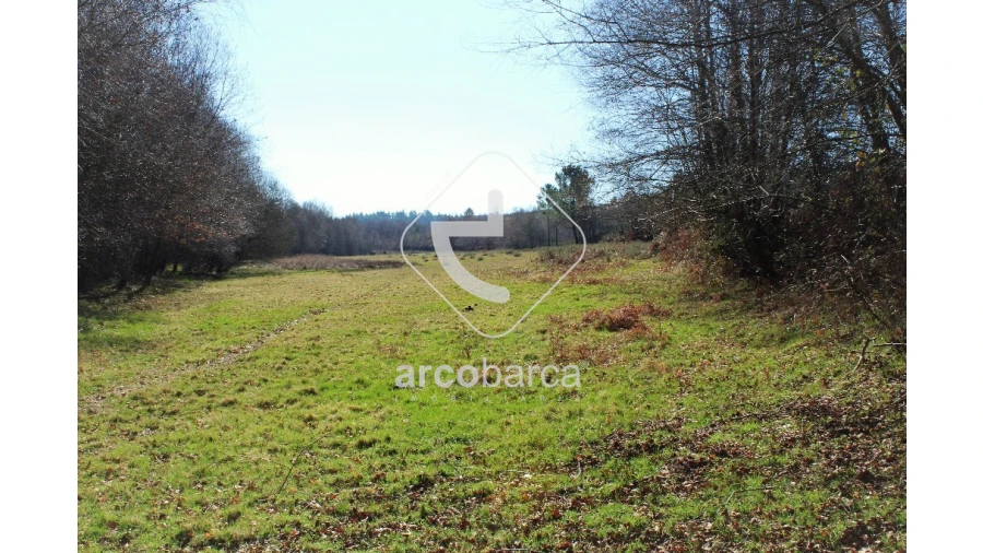 Terreno para Venda em Vascões Foto 8
