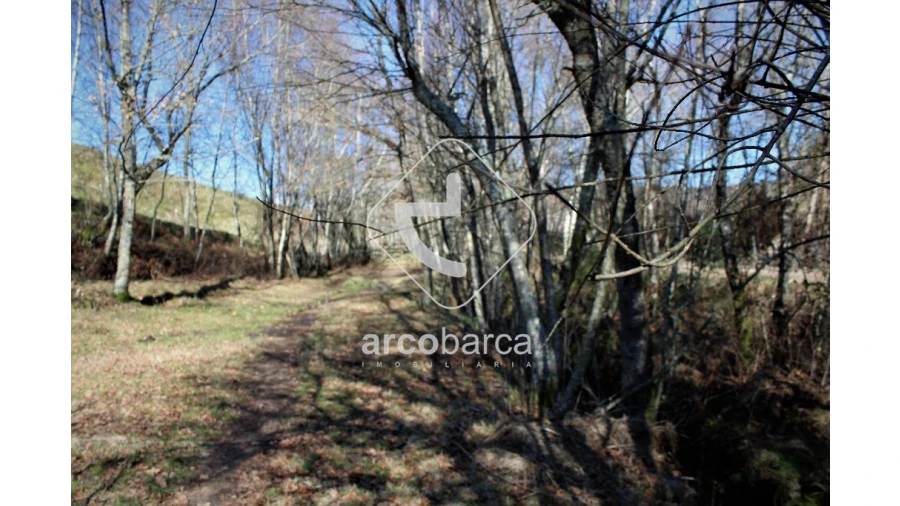 Terreno para Venda em Vascões Foto 7
