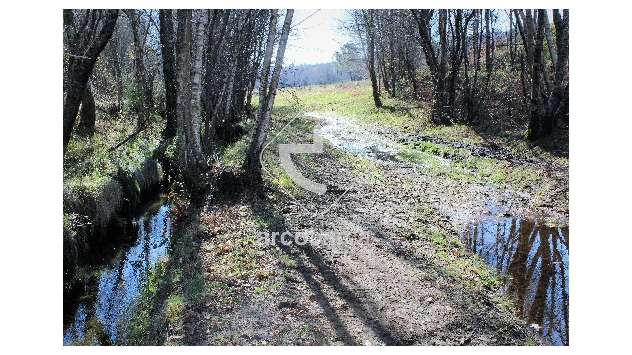Terreno para Venda em Vascões Foto 4