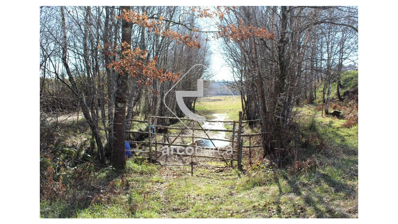 Terreno para Venda em Vascões Foto 1