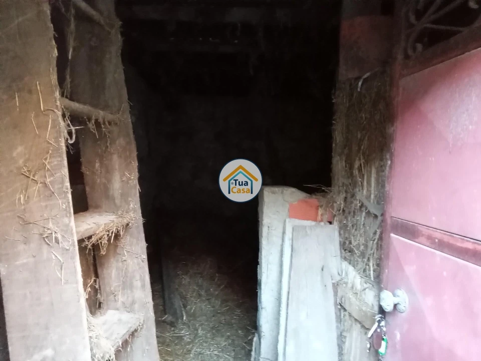 Moradia T1 para Venda em São Cipriano e Vil de Souto Foto 12