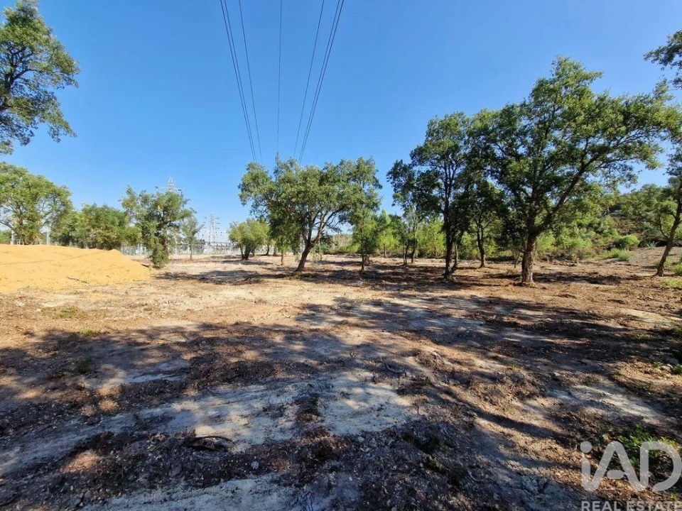 Terreno para Venda em Fernao Ferro Foto 15