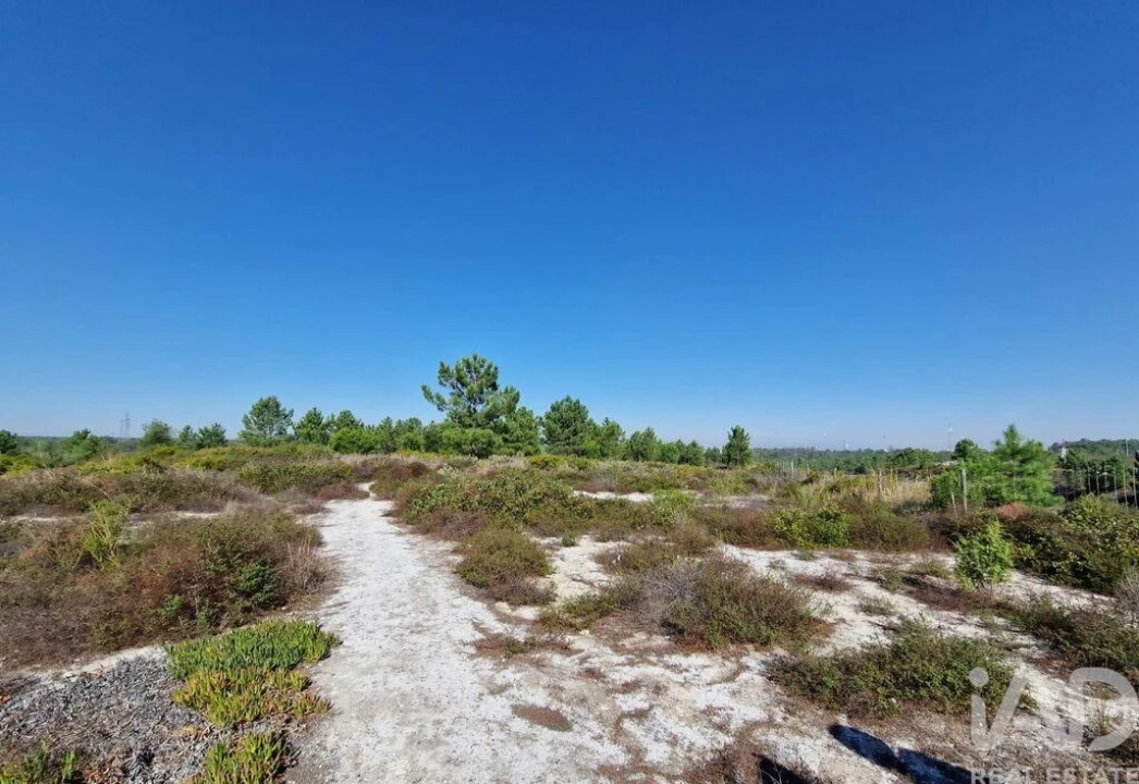 Terreno para Venda em Fernao Ferro Foto 4